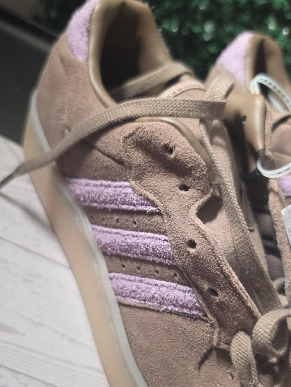 Adidas Rivalry - Picture 3 of 7
